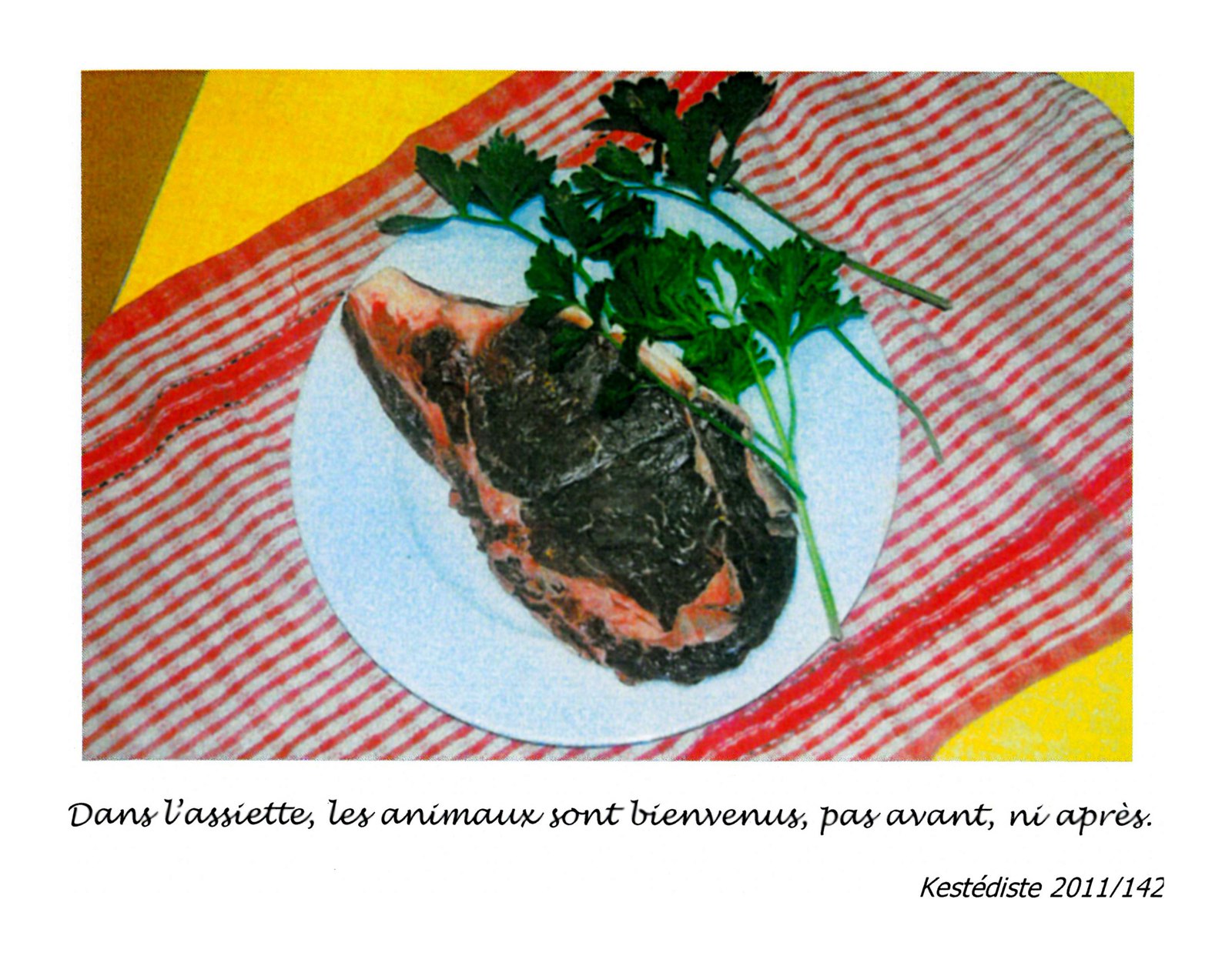 Kestédite 2011/142