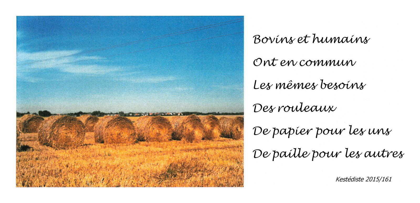 Kestédite 2015/161