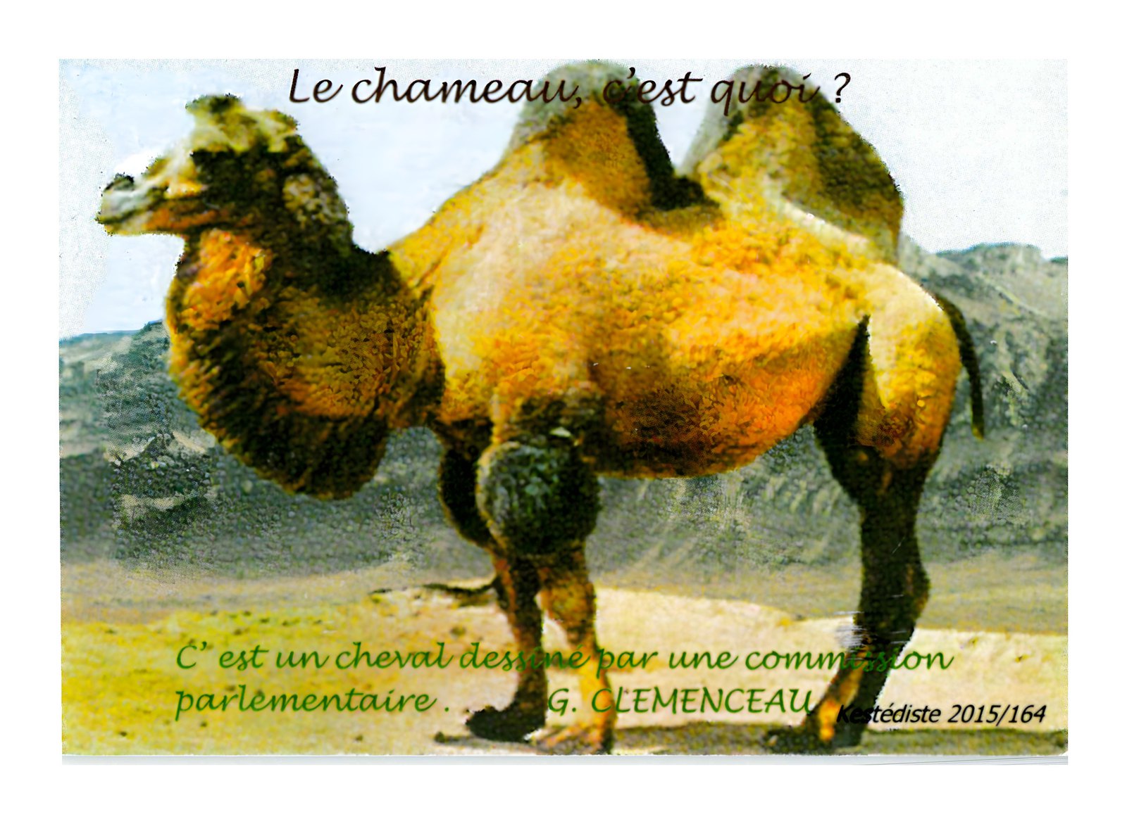 Le chameau, c'est quoi ?