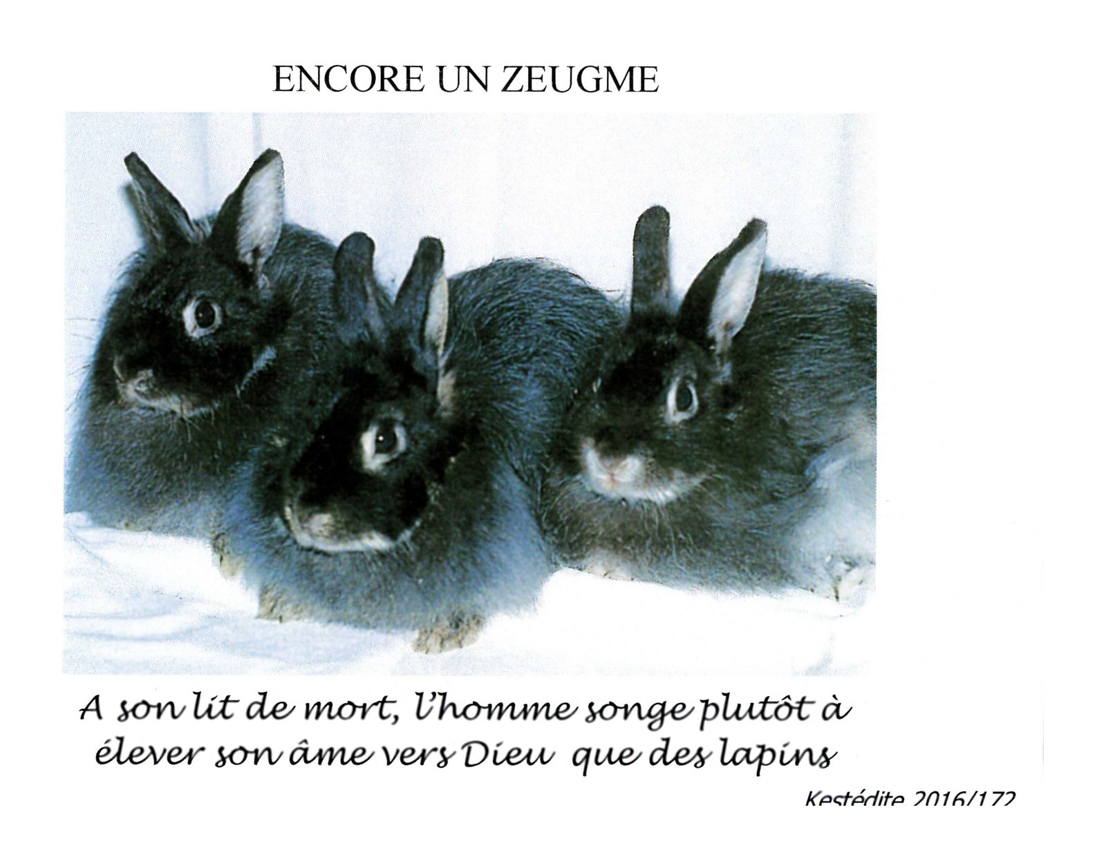 Encore un zeugme